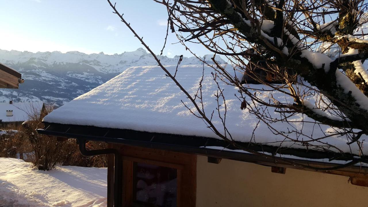 Chalet Cosy Proche Tramway Du Mont-Blanc Et Centre Saint-Gervais-les-Bains Eksteriør billede